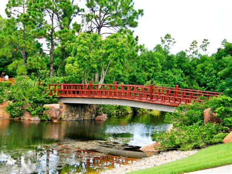 Florida botanical garden - Twenty-four distinct gardens, including Florida's largest public display of bamboo and the largest herb garden in the Southeast, comprise the 62-acre Kanapaha …